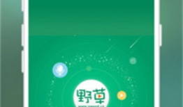 草比免费视频,揭秘热门短视频平台的魅力与挑战